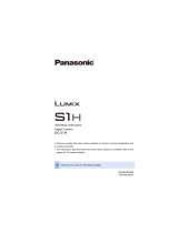 Panasonic DCS1HE Operating instructions