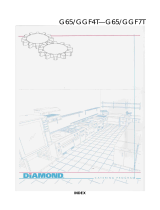 Diamond G65/GGF4T User manual
