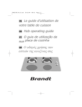 Brandt TI213BS1 Owner's manual