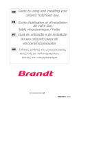 Groupe Brandt TV399XF1 Owner's manual