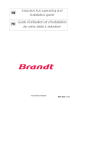 Brandt TI302BS1 Owner's manual