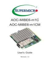 Supermicro AOC-MIBE6-m1C User manual