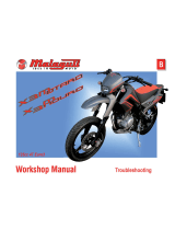 Malaguti X3Motard Workshop Manual