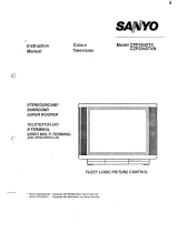 Sanyo CPP2940TX User manual