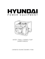 Hyundai 4 inch Owner's manual