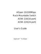 AOpen AOW-216 User manual