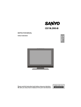 Sanyo CE19LD95-B User manual