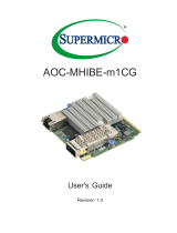 Supermicro AOC-MHIBE-m1CG User manual