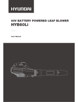 Hyundai HYB60Li User manual