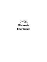 First International Computer CW001 User manual