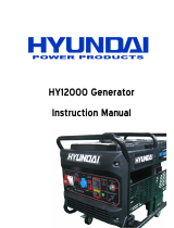 Hyundai HY12000LE User manual