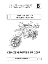 Malaguti XTM POWER UP 2007 Troubleshooting Manual