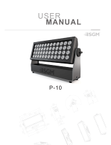 SGM P-10 User manual