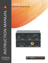 A-Neu Video ANI-5.1CH User manual