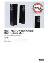 Audio Pro Black Diamond Features