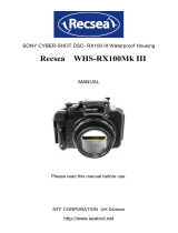Recsea WHS-RX100Mk 3 User manual