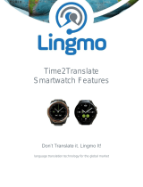 Lingmo Time2Translate Features