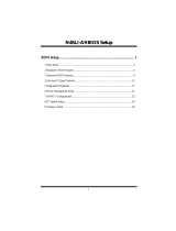 Biostar N4SLI-A9 Bios Setup Manual