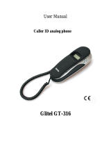 Glitel GT-316 User manual