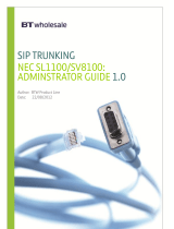 NEC UNIVERGE SV8100 Adminstrators Manual