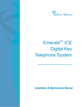 Tadiran TelecomEmerald ICE