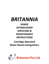 Britannia Fire BW6 Servicing & Maintenance Instructions