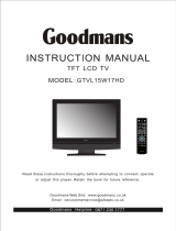 Goodmans GTVL19W17HD User manual