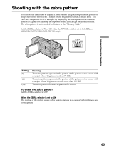 Sony DCR-TRV950 User manual