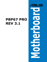 Asus P8P67 PRO (REV 3.1) User manual