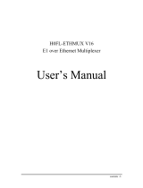 Huahuan Electronics H0FL-ETHMUX V16 User manual