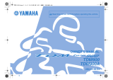 Yamaha TDM900 Owner's manual