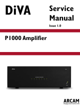 Diva P1000 User manual