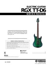 Yamaha RGX TT-D6 User manual