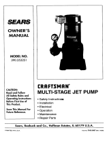 Craftsman 390253251 Owner's manual