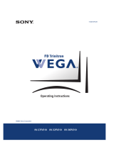 Sony KV 36FV310 User manual