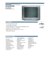 Sony KV-20FS100 - 20" Fd Trinitron Wega Product information