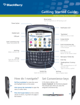 Blackberry 8700G User manual
