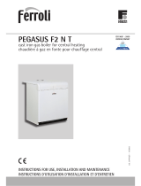Ferroli PEGASUS F2 N 2S Instructions For Use, Installation And Maintenance