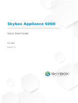 skybox 6000 Quick start guide