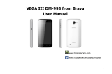 Brava VEGA III DM-993 User manual