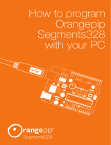 OrangepipSegments328
