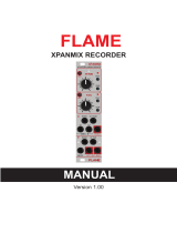 Flame XPANMIX Mix Recorder Module User manual