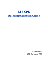 CCiWLTGG-133 LTE Outdoor CPE Routed