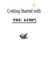 Gimp Version 2.6 Operating instructions