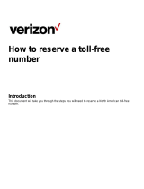 Verizon Network Manager User guide