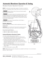 MrSteam Automatic Blowdown System Installation & Operation Manual