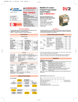 Ascon tecnologic DM-08TS User manual