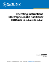 DeZurikPOSITIONER SMART (P85/P86/P87N)