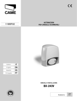 CAME BX-243V, BX-243V110 Installation guide