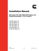 Cummins Power RS100 Owner's manual